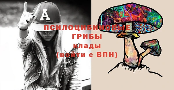 прущий лед Дмитровск